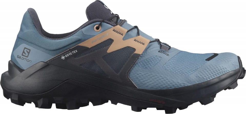 Trail schoenen Salomon WILDCROSS 2 W GTX