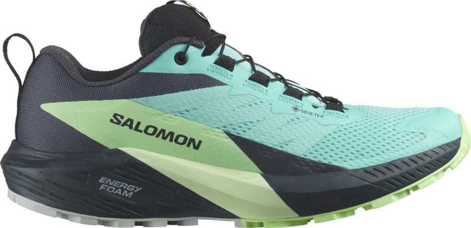 Trail schoenen Salomon SENSE RIDE 5 GTX W